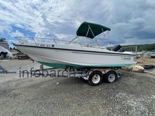 Boston Whaler Ventura 20 recensioni e scheda tecnica